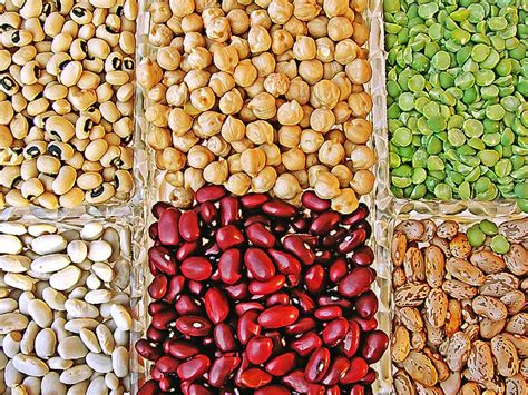 Beans and legumes, unlike nuts and vegetables, are the primary source of calories for many people around the world, and eating foods so rich in phytic acid coffee can be problematic for some people for other reasons, but it's actually a seed, not a bean. Difference Between Legumes and Beans | Compare the ...