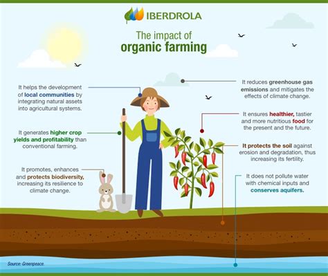 Organic Farming Food Production Using Natural Substances Iberdrola