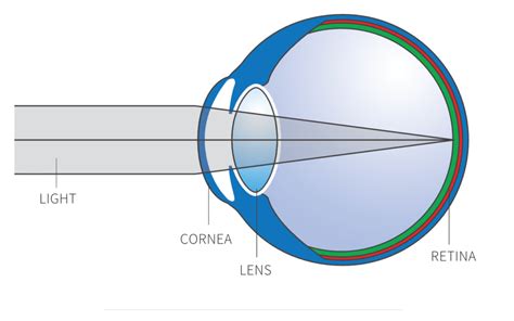 Lens Refraction Physics Tutorial Refraction And The Ray Model Of