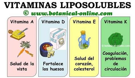 Clasificación De Las Vitaminas Energía Y Consumo De Substancias