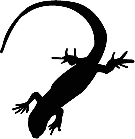 Iguana clipart newt, Iguana newt Transparent FREE for download on WebStockReview 2020