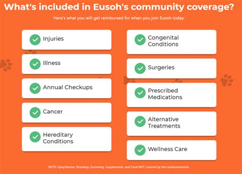 Maybe you would like to learn more about one of these? A Distinct Alternative to Nationwide Pet Insurance: Embrace Pet Insurance Vs Eusoh Review (2021 ...
