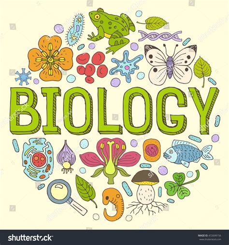 Creative Hand Drawn Vector Biology Background With Doodle Icons