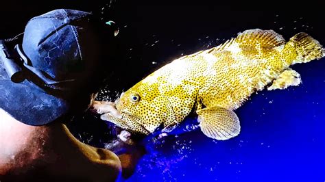 Giant Deep Sea Grouper Fishing At Night Wahoo Catch And Cook Upgrading