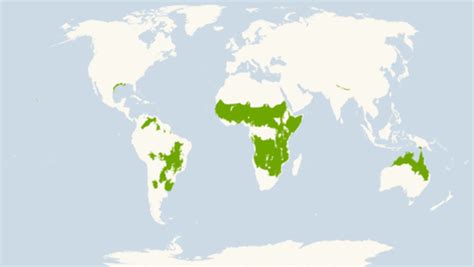 Savanna Biome World Map Interactive Map