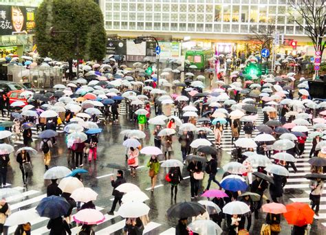 6 Spots To Get A Birds Eye View Of The Shibuya Scramble Crossing