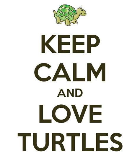Keep Calm And Love Turtles Keep Calm And Love Keep Calm Artwork