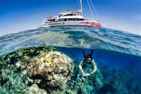 Passions Of Paradise Great Barrier Reef Tour