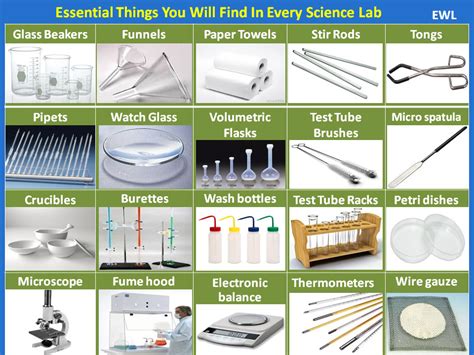 Essential Things You Will Find In Every Science Lab Vocabulary Home