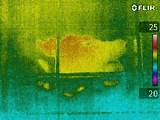 Pictures of Thermal Imaging Termite Detection