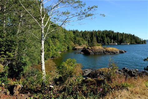 Port Hardy British Columbia 2023 Best Places To Visit Tripadvisor