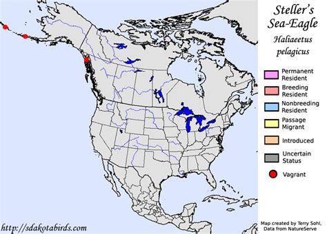 Stellers Sea Eagle North American Range Map