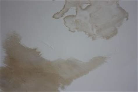 As a result, they leave discolored mineral deposits. How to Repair Drywall Water Damage - Do-it-yourself-help.com