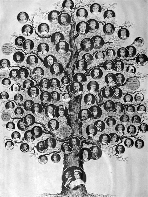 The Royal Family Tree From Queen Victoria To Windsor Vrogue Co