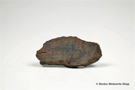 Dhofar 020 Meteorit 955 G Kaufen Decker Meteorite Shop