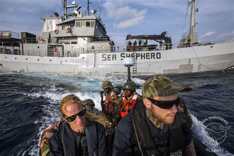 Sea Shepherd Uk Sea Shepherd Launches Operation Sola Stella With The