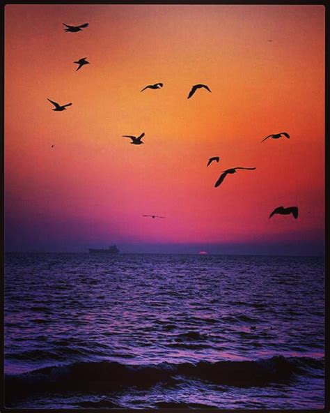 A Magical Sunset 🌇 On The Beach 🌊 With A Ship 🚢 In The Horizon And Flying Birds 🐦 🐦 🐦 🐦 👌☺💖