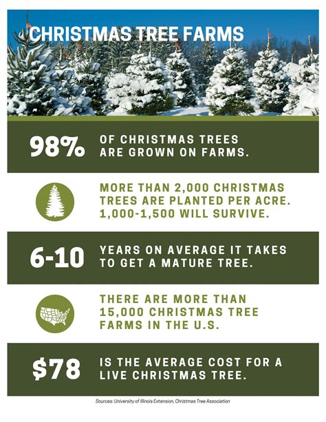 Infographic Christmas Tree Farms Dekalb County Farm Bureau Connections