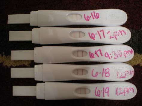 How Long After Ovulation Can You Test
