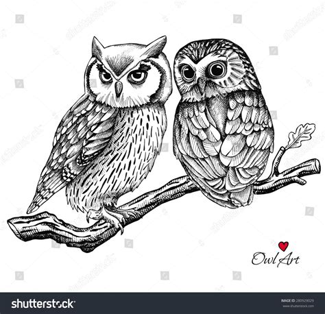 Image Two Owls On Branch Vector Stock Vector Royalty Free 280929029 Shutterstock Owls