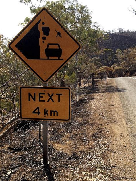 Watch Out For Falling Kangaroos Funny Street Signs