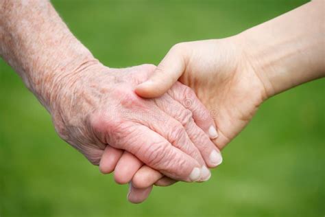 Senior And Young Women Holding Hands Stock Photo Image Of Isolated