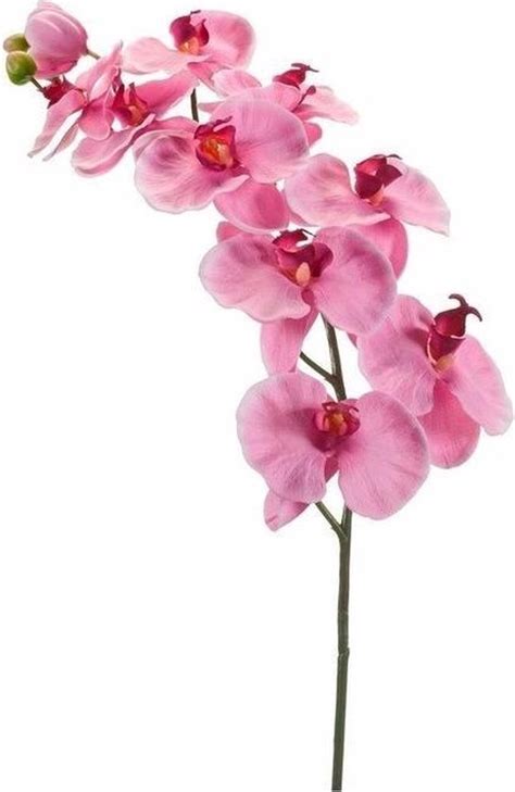 Kunst Orchidee Tak 100 Cm Roze Bol Com