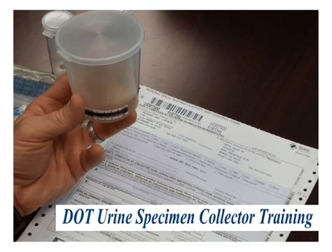 How Do I Get Trained For Dot Urine Specimen Collections For Drug Testing