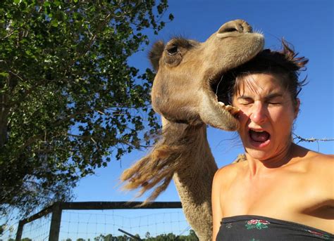 You will need to write some code to extract only the name part of file named produced if you only want that, as the name currently includes paths. Camel Selfie Goes Horribly Wrong (PHOTO) | HuffPost