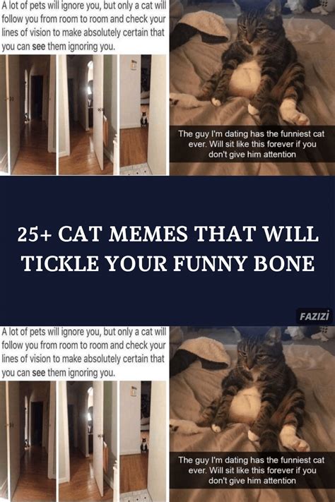 25 Cat Memes That Will Tickle Your Funny Bone Artofit