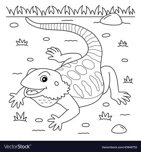 Bearded Dragon Animal Coloring Page For Kids Vector Image