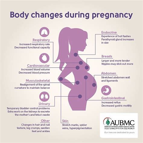 Physical Changes During Pregnancy