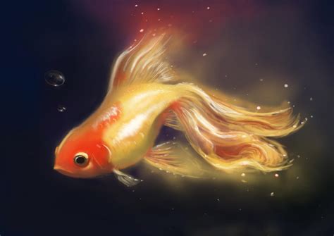 Goldfish By Trutze On Deviantart