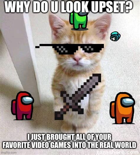 Gamer Cat Imgflip