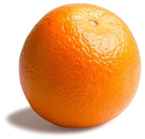 Navel Large Orange 1 Count Grocery And Gourmet Food