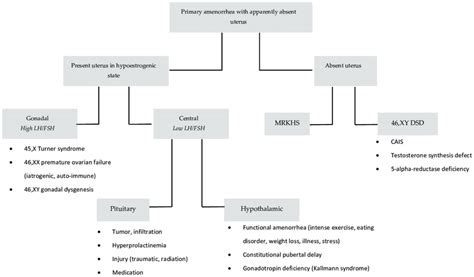Differential Diagnosis Of Primary Amenorrhea With Apparently Absent