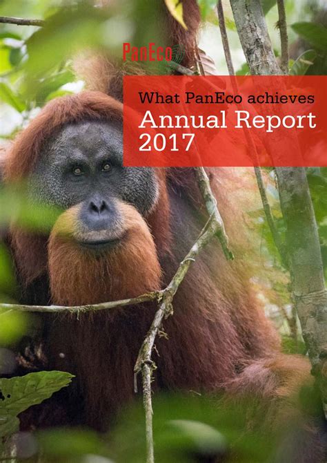 Actual facts & where applicable statements are based on assumptions, estimates, beliefs and future expectations. PanEco annual report 2017 by Stiftung Paneco - Issuu