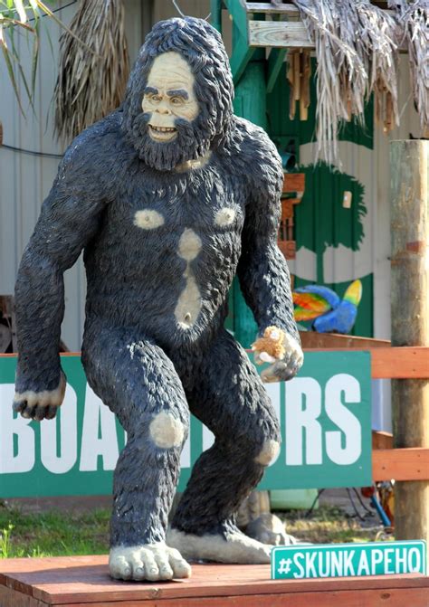 Check Out The Legend Of The Skunk Ape In Florida