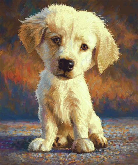 Golden Retriever Puppy Painting By Chantal Candon