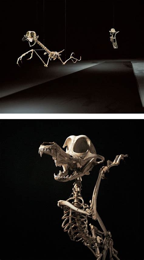 Animatusrealistic Skeletons Of Famous Cartoon Characters By Hyungkoo