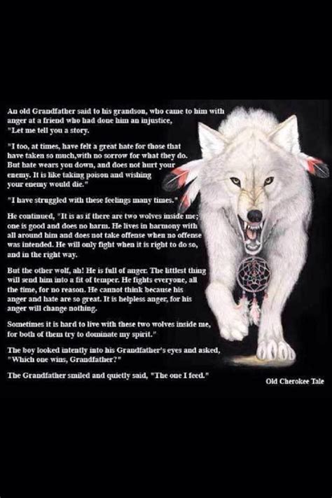 Two Wolves Inside Us All Native American Wolf Quotes Native American