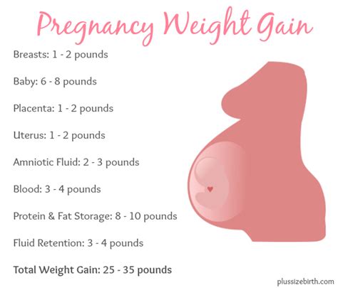 how much weight do pregnant women gain plus size birth