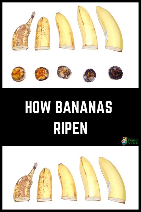What Banana Is Right For You The Banana Ripening Process The Produce Nerd