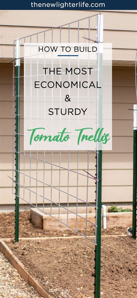 Super Easy Trellises Made Assembled With T Posts And Cattle Panels