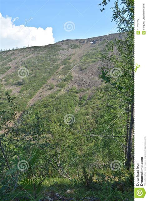 Mountain Taiga Of Eastern Siberia Stock Photo Image Of Nature