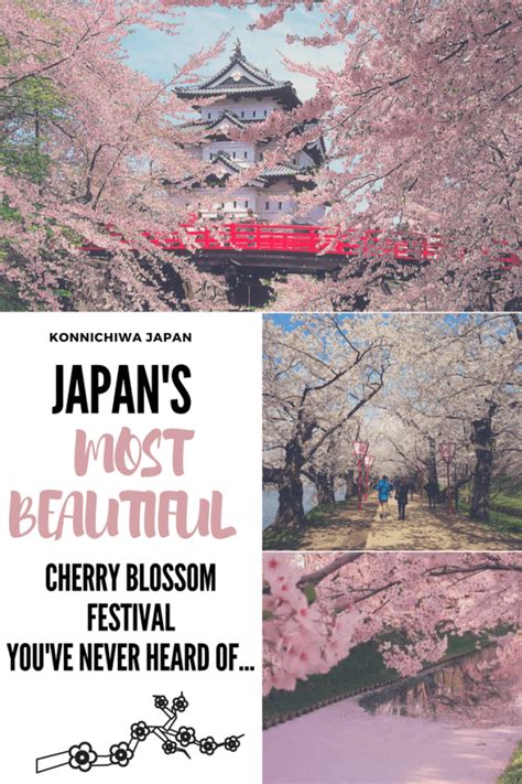 Thousands Of Tourists Go To Tokyo And Kyoto For The Cherry Blossoms