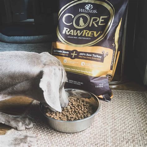 They began by producing recipes for dogs another recipe from wellness complete health makes it into this review for its popularity among customers and great reputation as a dog food for. Wellness CORE RawRev Puppy Food - a review of Wellness ...