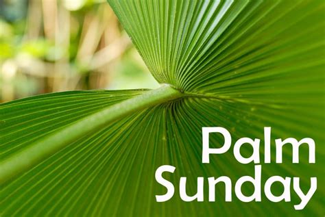 Palm Sunday Crafts And Activities Oppidan Library