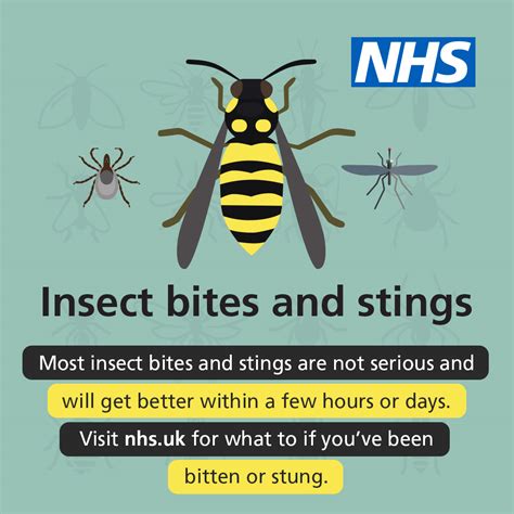 Nhs On Twitter Warmer Weather Is Enjoyable For Many But It Can Also