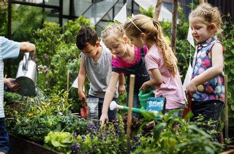 The Ultimate Guide To Kids Gardening The Why What And How